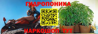 a pvp Гай