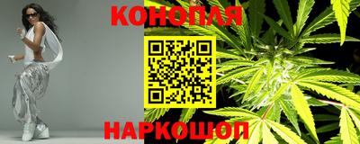 крисы Гатчина