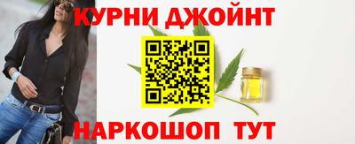 крисы Гатчина