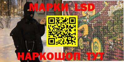 крисы Гатчина