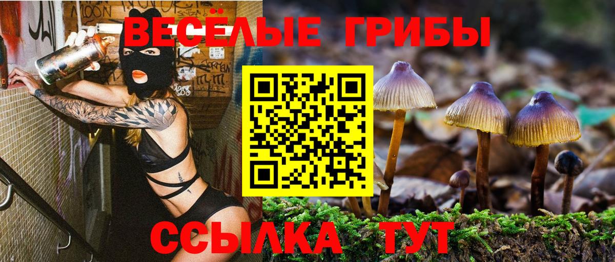 купить  сайты  Вход с VPN  Куйбышев  Псилоцибиновые грибы Psilocybine cubensis  Галлюциногенные грибы Psilocybe 